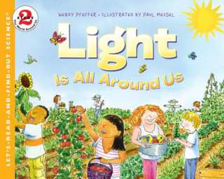 Kniha Light Is All Around Us Wendy Pfeffer