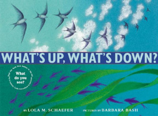Book What's Up, What's Down? Lola M. Schaefer