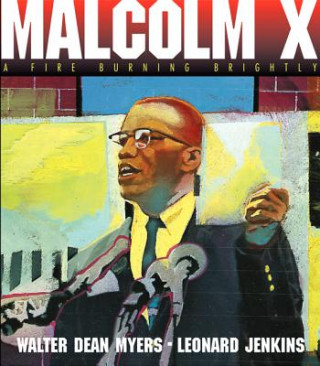 Buch Malcolm X Walter Dean Myers