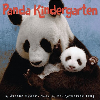 Kniha Panda Kindergarten Joanne Ryder