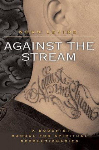 Livre Against the Stream Noah Levine