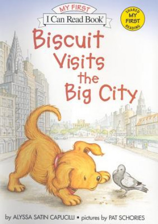 Könyv Biscuit Visits the Big City Alyssa Satin Capucilli