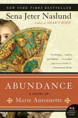 Book Abundance Sena Jeter Naslund