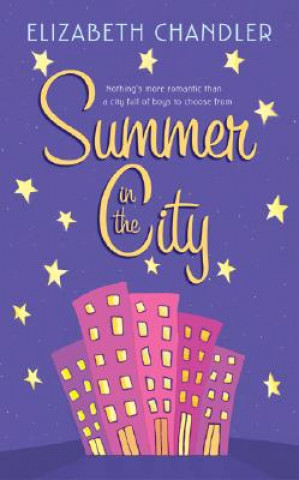 Kniha Summer in the City Elizabeth Chandler