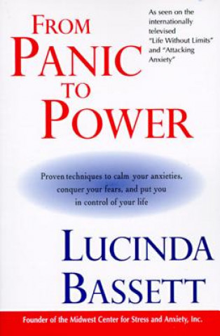 Carte From Panic to Power Lucinda Bassett
