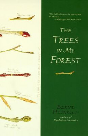 Könyv The Trees in My Forest Bernd Heinrich