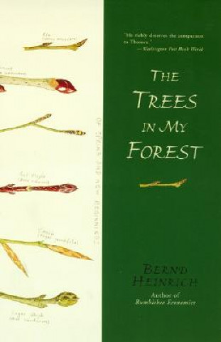 Buch The Trees in My Forest Bernd Heinrich