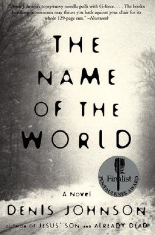 Kniha The Name of the World Denis Johnson