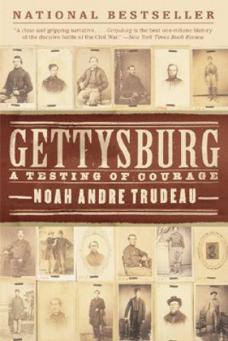Carte Gettysburg Noah Andre Trudeau