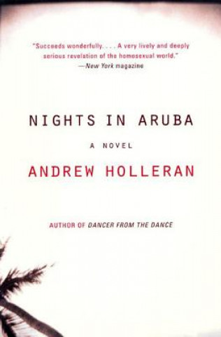 Könyv Nights in Aruba Andrew Holleran