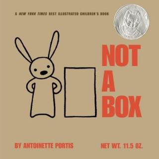 Kniha Not a Box Antoinette Portis