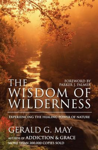 Książka The Wisdom of Wilderness Gerald G. May
