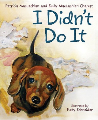 Knjiga I Didn't Do It Patricia MacLachlan