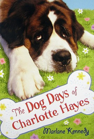 Kniha The Dog Days of Charlotte Hayes Marlane Kennedy