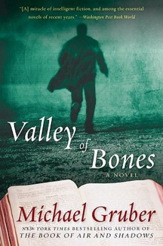 Książka Valley of Bones Michael Gruber