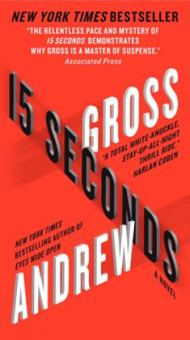 Kniha 15 Seconds Andrew Gross