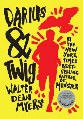 Kniha Darius & Twig Walter Dean Myers
