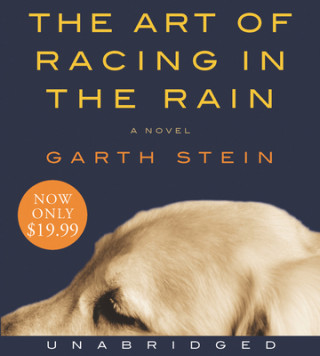 Audio The Art of Racing in the Rain Garth Stein