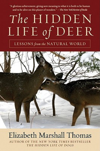 Kniha Hidden Life of Deer Elizabeth Marshall Thomas