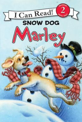 Kniha Snow Dog Marley John Grogan