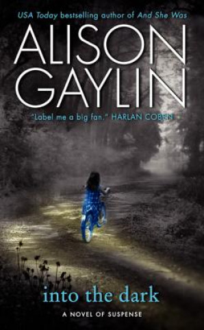 Kniha Into the Dark Alison Gaylin