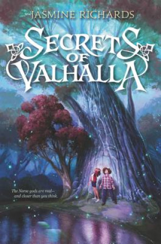 Książka Secrets of Valhalla Jasmine Richards