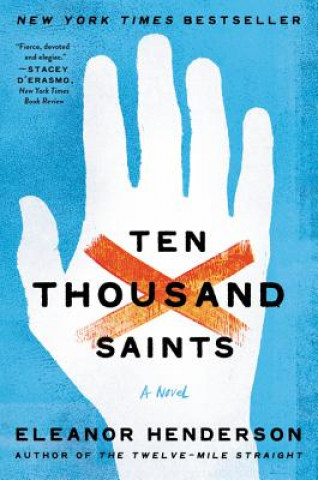 Kniha Ten Thousand Saints Eleanor Henderson