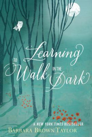 Carte Learning to Walk in the Dark Barbara Brown Taylor