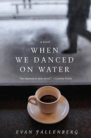 Buch When We Danced on Water Evan Fallenberg