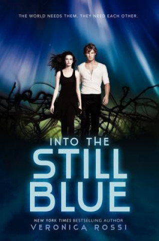 Könyv Into the Still Blue Veronica Rossi