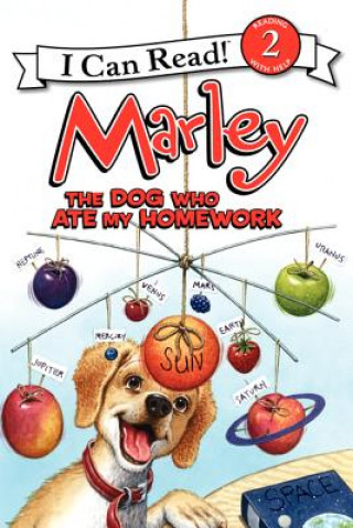 Könyv Marley The Dog Who Ate My Homework Caitlin Birch