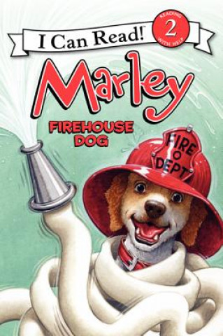 Kniha Marley Firehouse Dog John Grogan