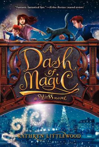 Kniha A Dash of Magic Kathryn Littlewood