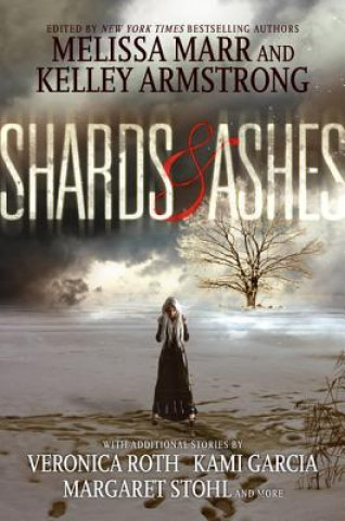 Kniha Shards & Ashes Melissa Marr