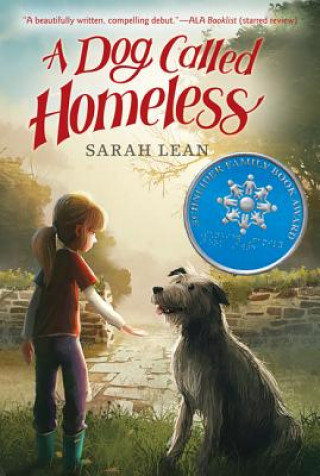 Könyv A Dog Called Homeless Sarah Lean