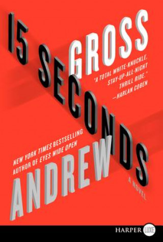 Livre 15 Seconds Andrew Gross