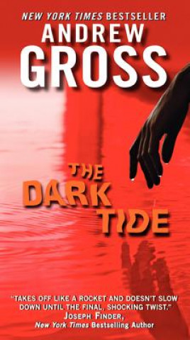 Carte The Dark Tide Andrew Gross