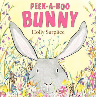 Kniha Peek-a-boo Bunny Holly Surplice