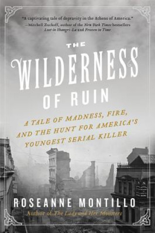 Könyv The Wilderness of Ruin Roseanne Montillo