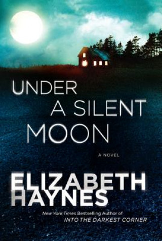 Kniha Under a Silent Moon Elizabeth Haynes