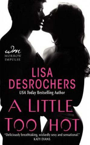 Könyv A Little Too Hot Lisa Desrochers
