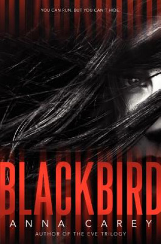 Könyv Blackbird Anna Carey