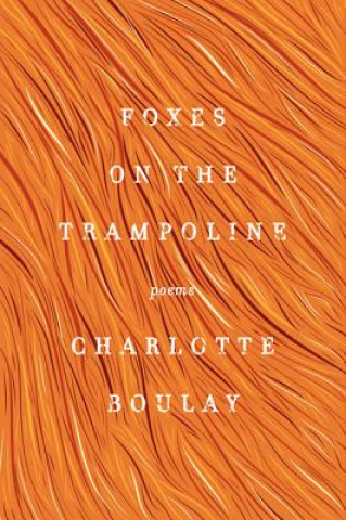 Livre Foxes on the Trampoline Charlotte Boulay