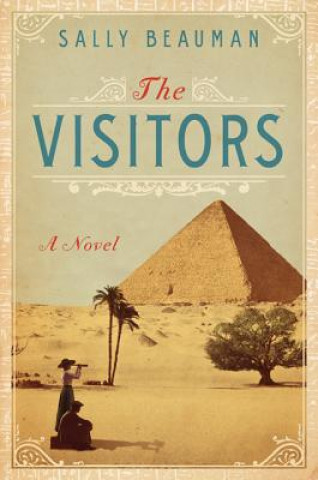 Knjiga The Visitors Sally Beauman