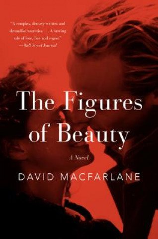 Kniha The Figures of Beauty David MacFarlane