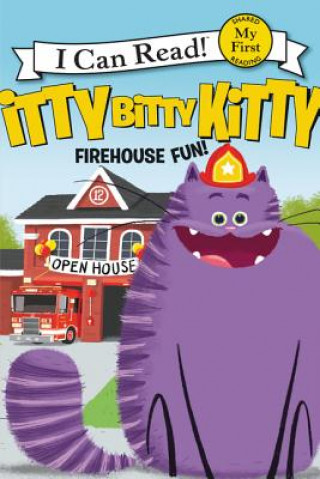 Book Firehouse Fun Joan Holub