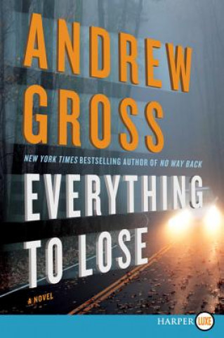 Kniha Everything To Lose Andrew Gross