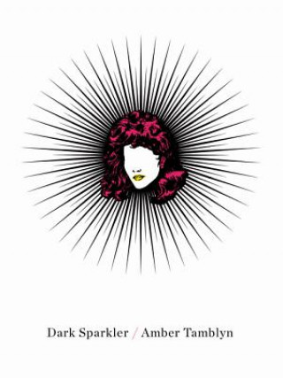 Buch Dark Sparkler Amber Tamblyn