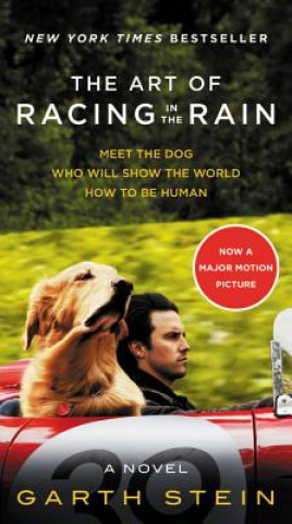 Книга The Art of Racing in the Rain Garth Stein