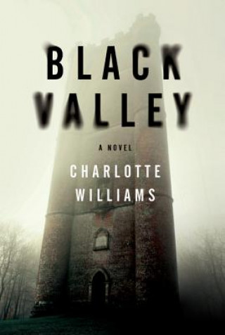 Kniha Black Valley Charlotte Williams